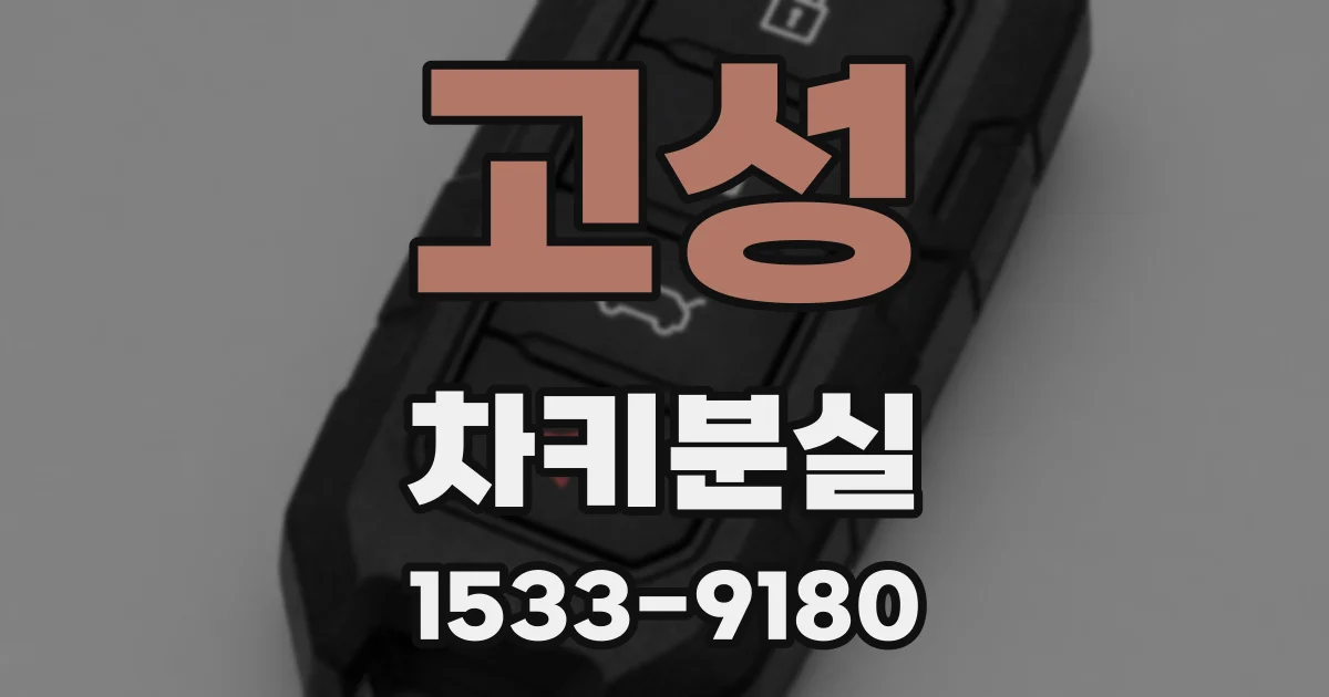 고성 차키분실