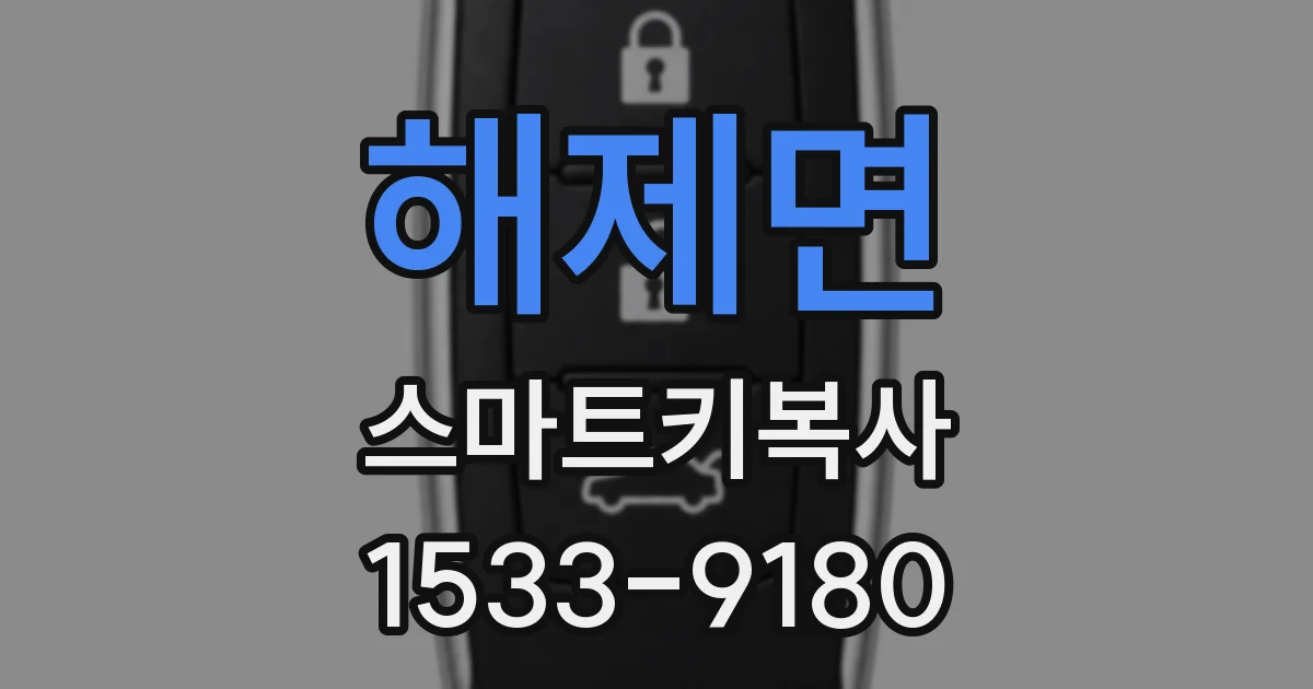 해제면 스마트키복사
