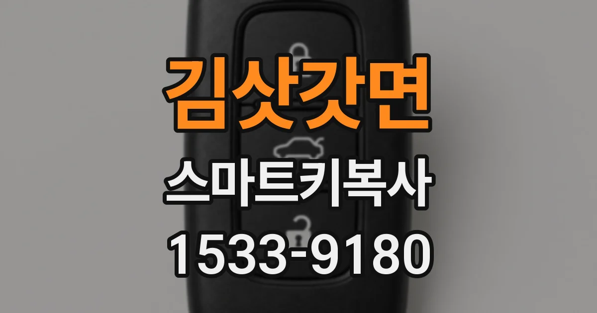 김삿갓면 스마트키복사