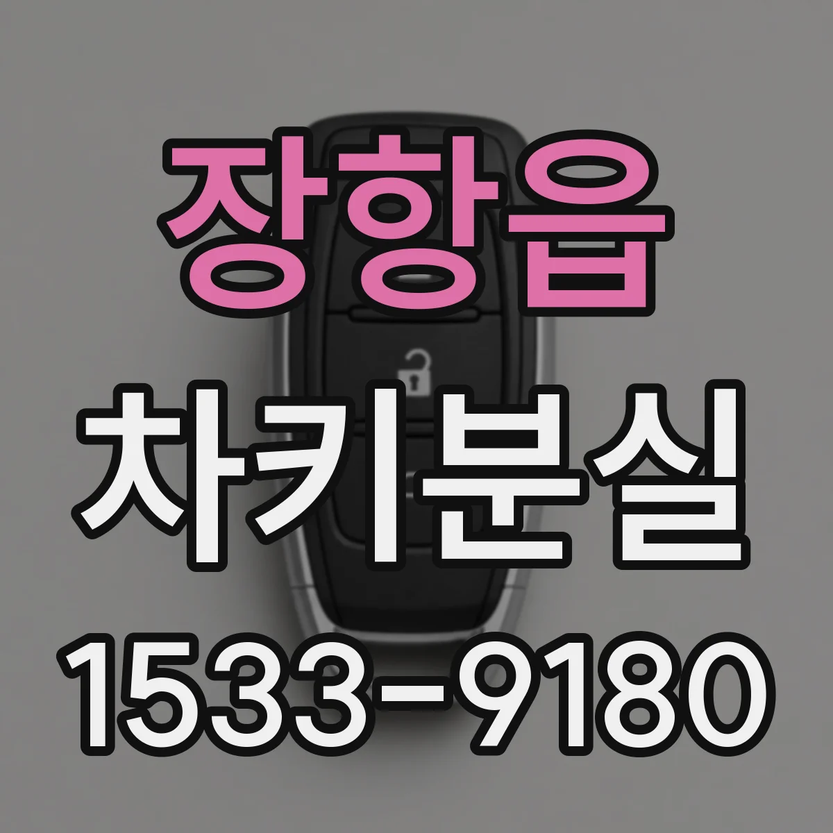 장항읍 차키분실