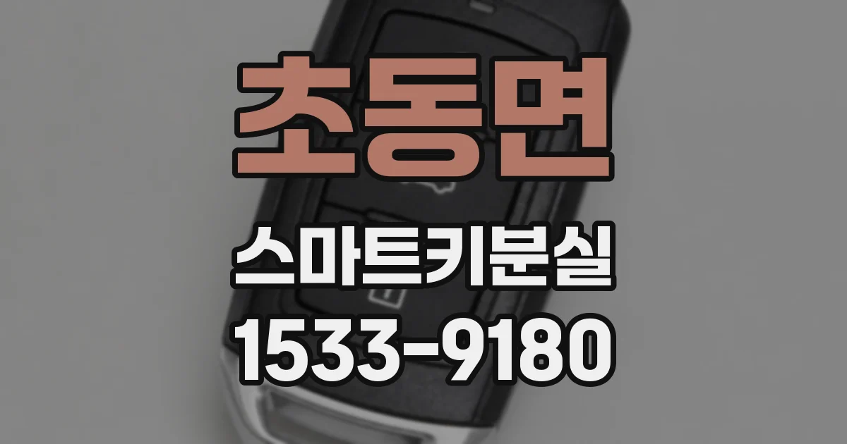 초동면 스마트키분실