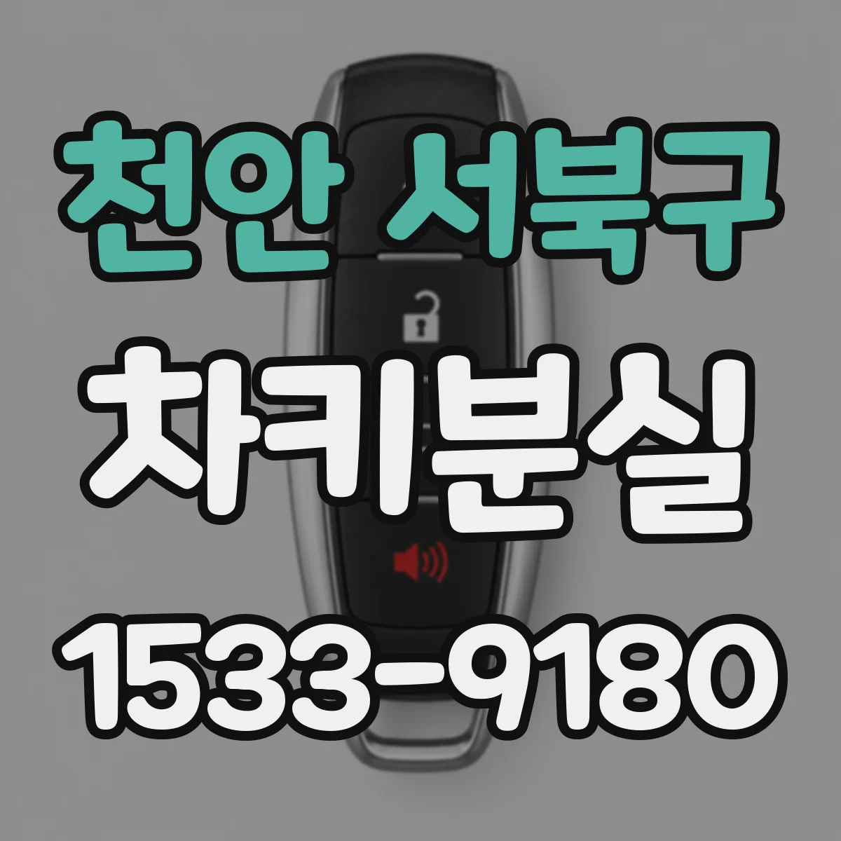 천안 서북구 차키분실