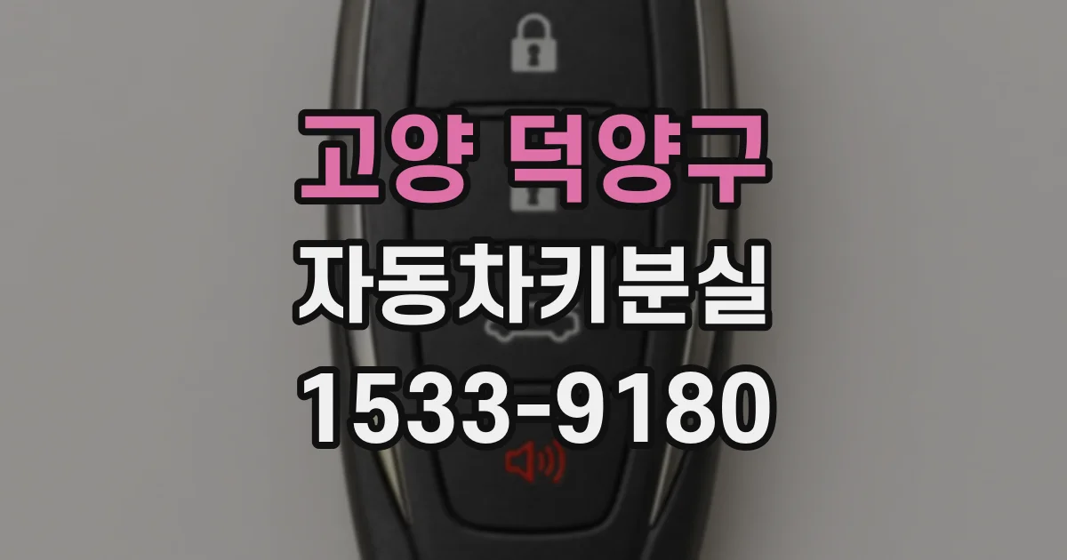 고양 덕양구 자동차키분실