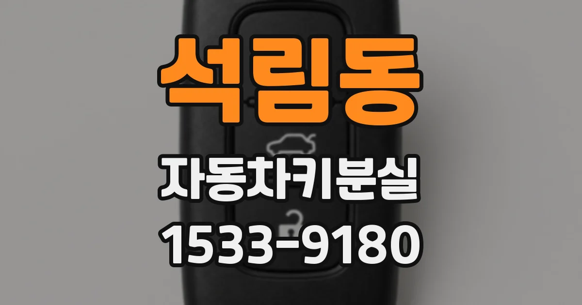 석림동 자동차키분실