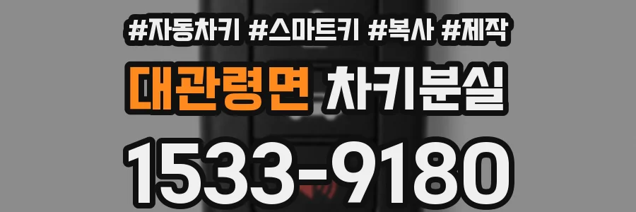 대관령면 차키분실