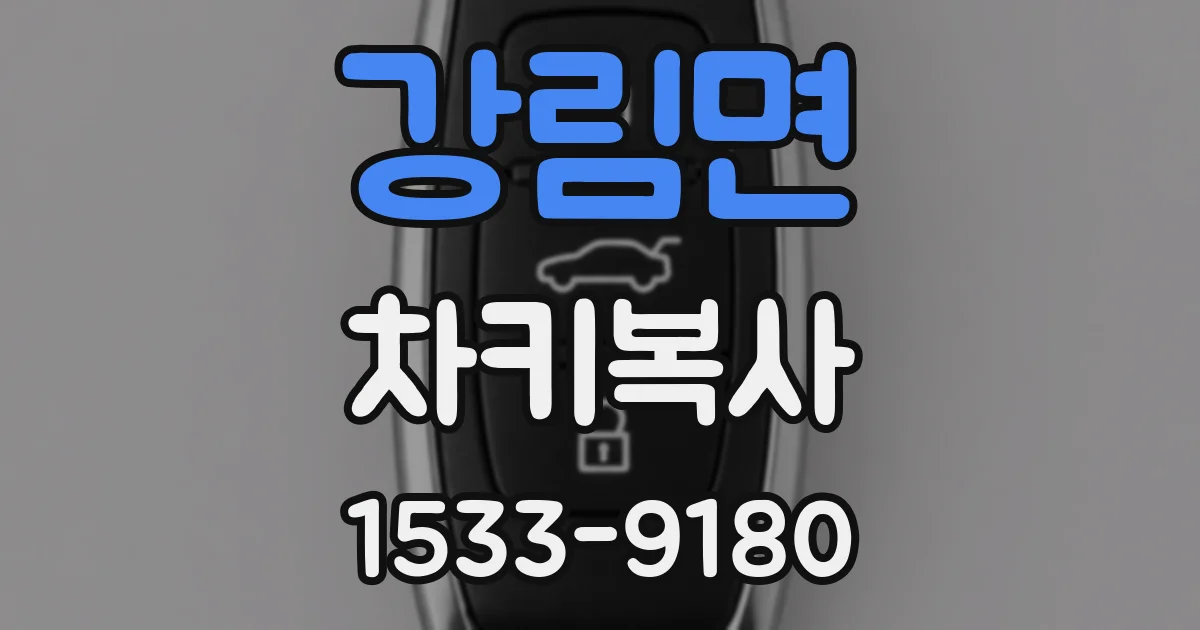 강림면 차키복사