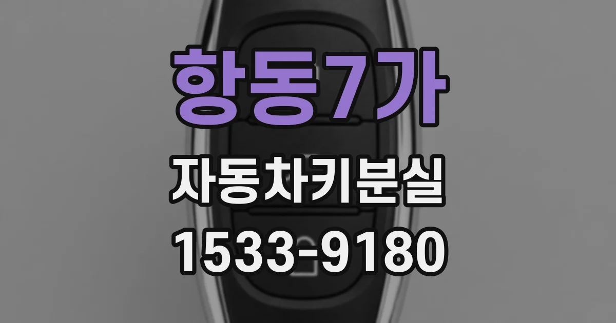 항동7가 자동차키분실