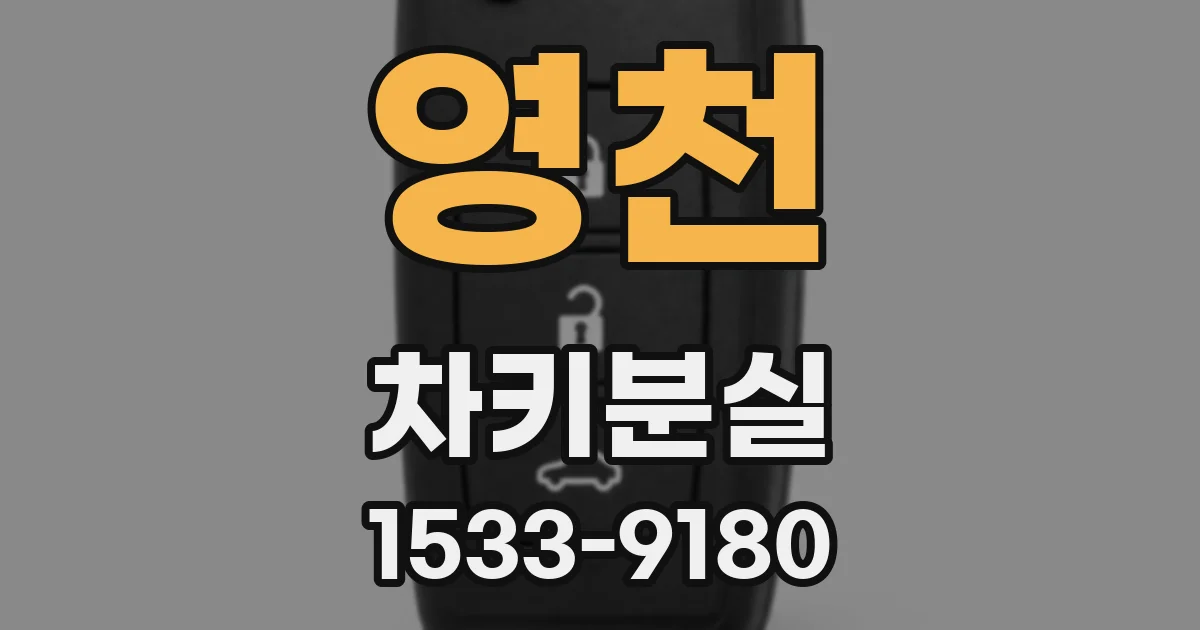 영천 차키분실