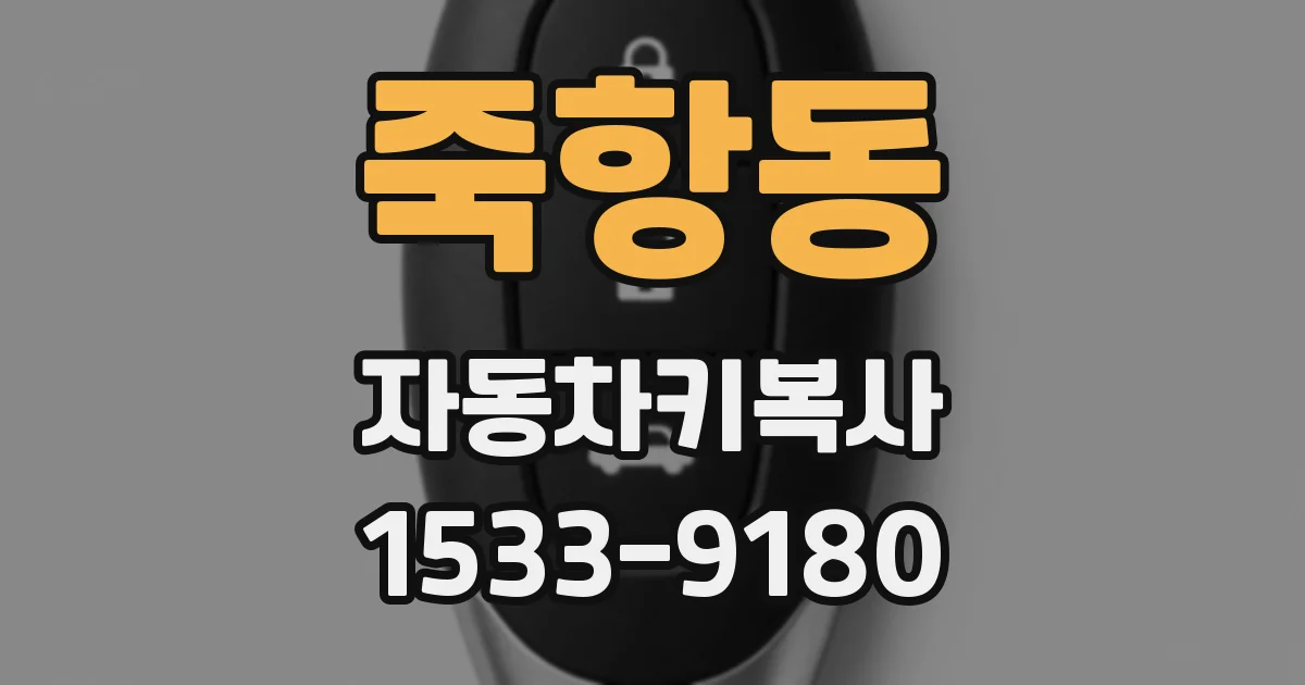 죽항동 자동차키복사