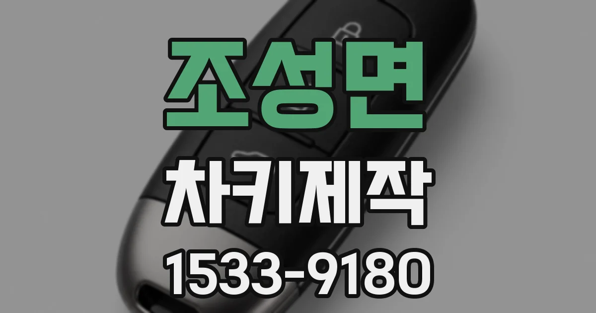 조성면 차키제작