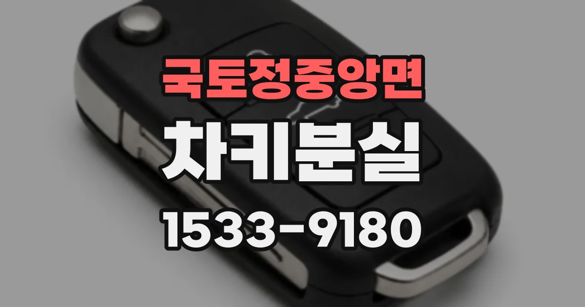 국토정중앙면 차키분실