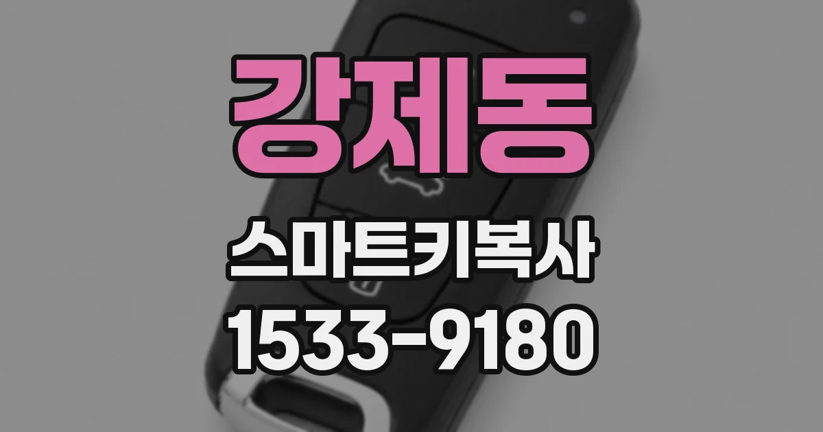 강제동 스마트키복사