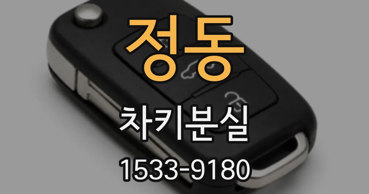 정동 차키분실
