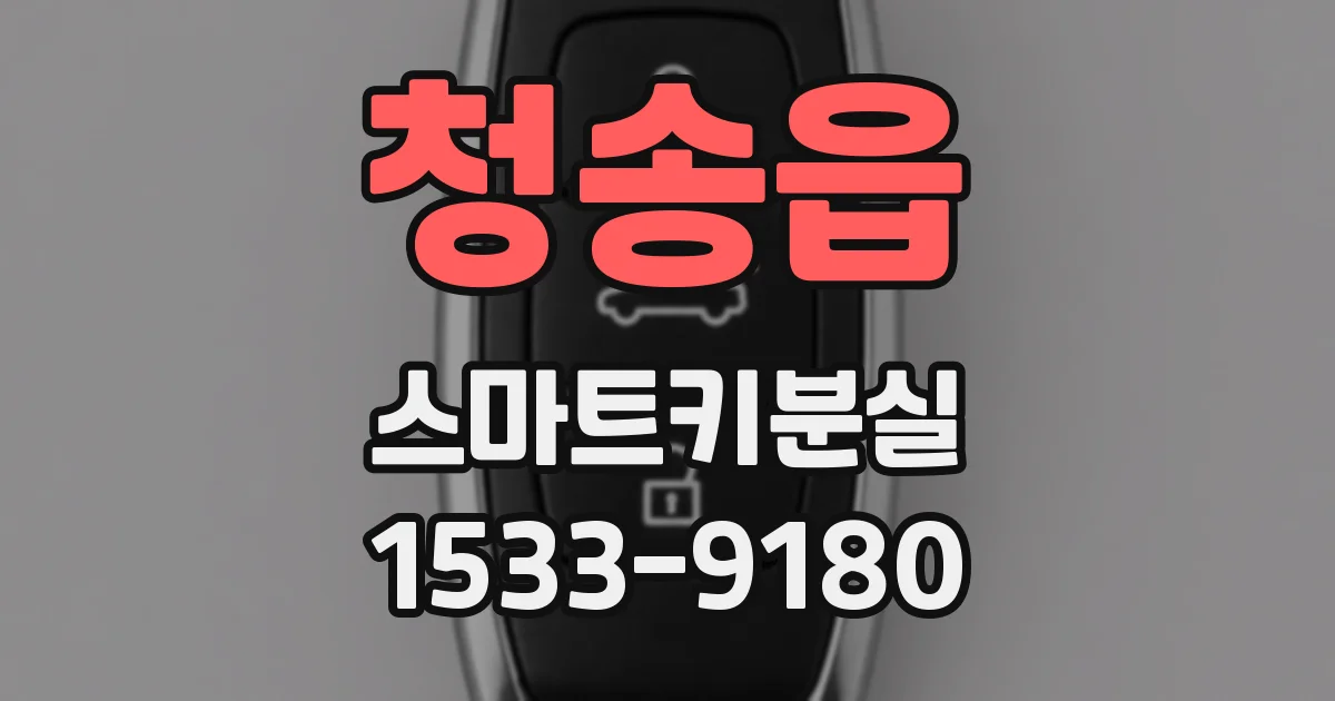 청송읍 스마트키분실
