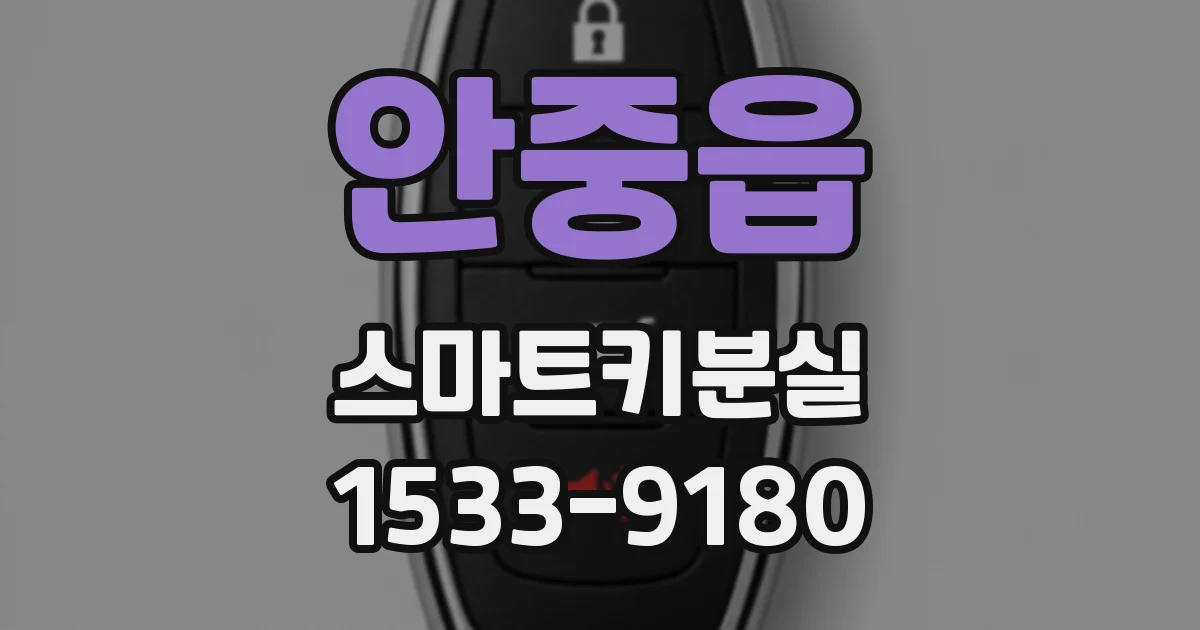 안중읍 스마트키분실