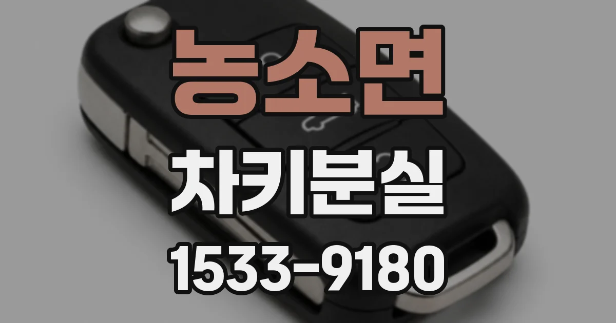 농소면 차키분실