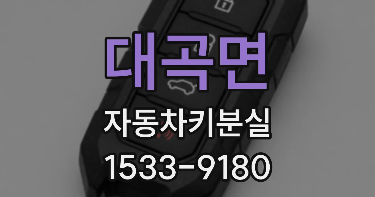 대곡면 자동차키분실