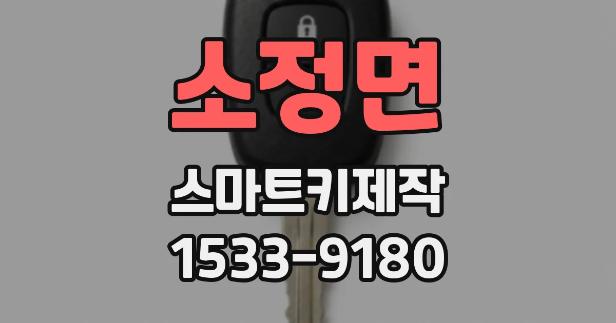 소정면 스마트키제작