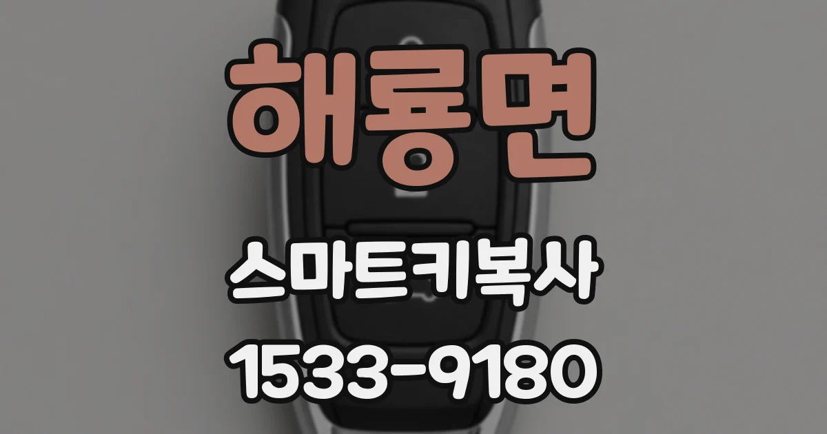 해룡면 스마트키복사