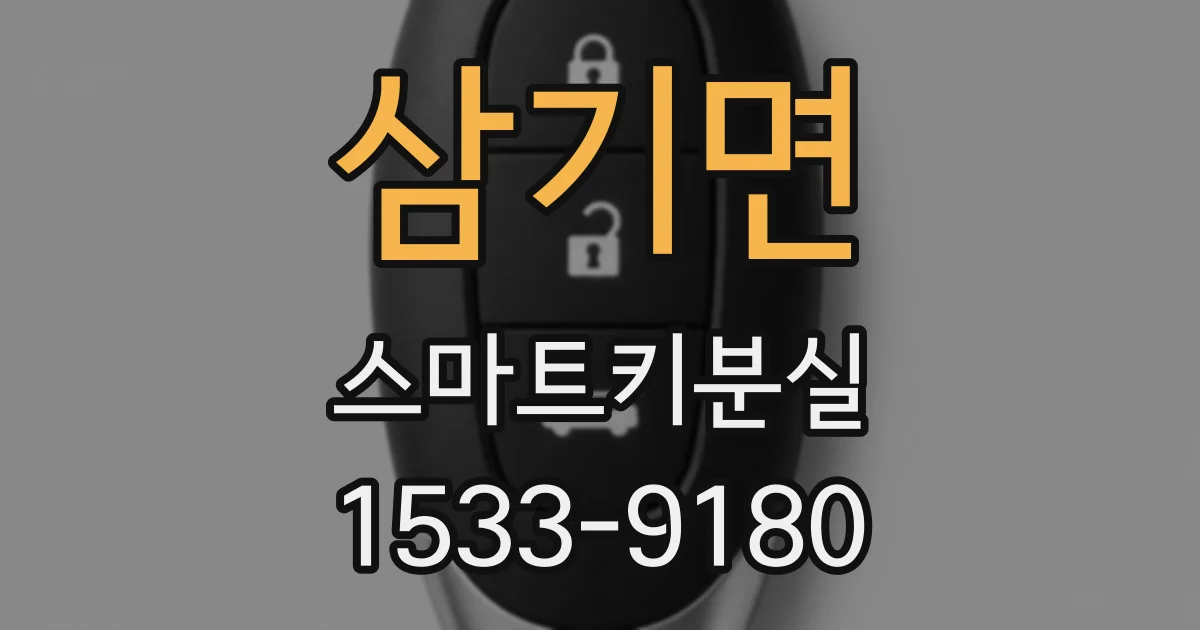 삼기면 스마트키분실