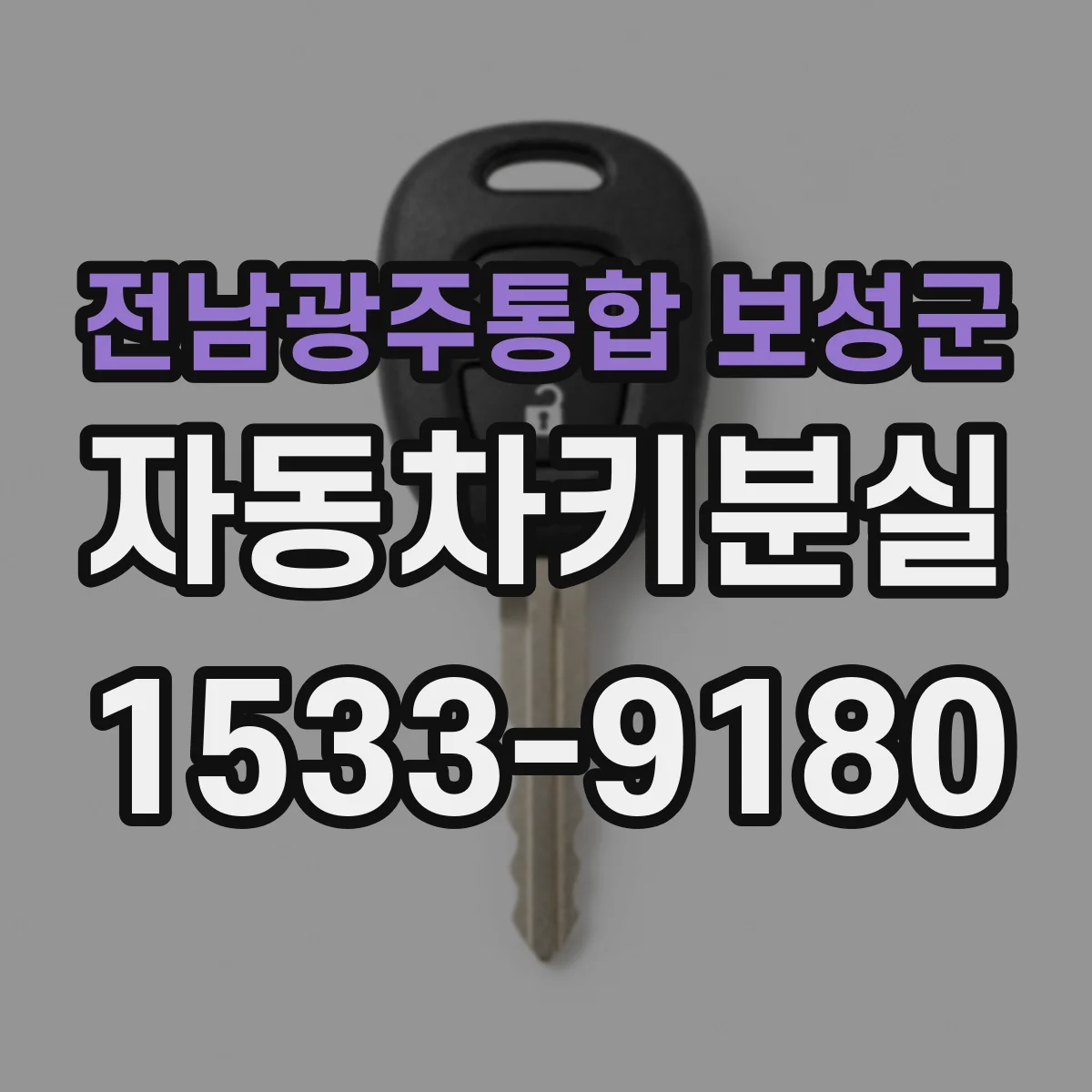 전남광주통합 보성군 자동차키분실