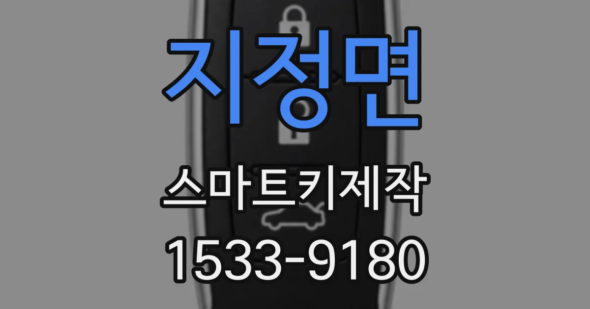 지정면 스마트키제작