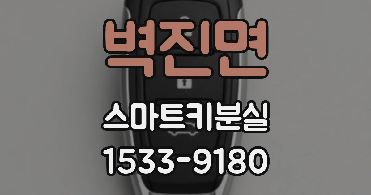 벽진면 스마트키분실