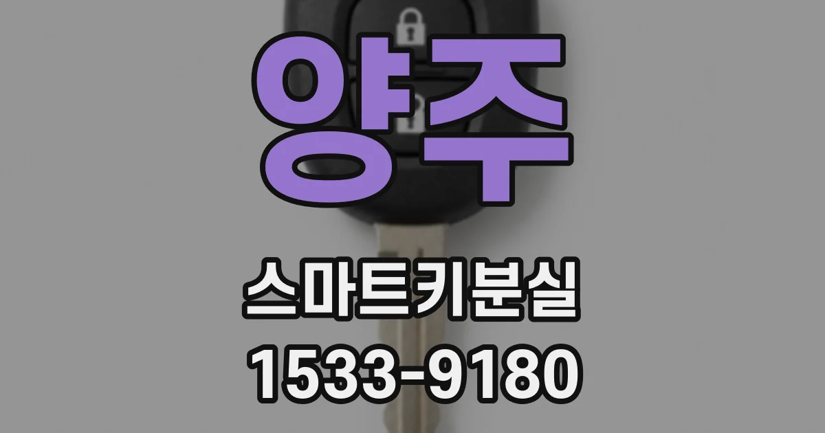 양주 스마트키분실