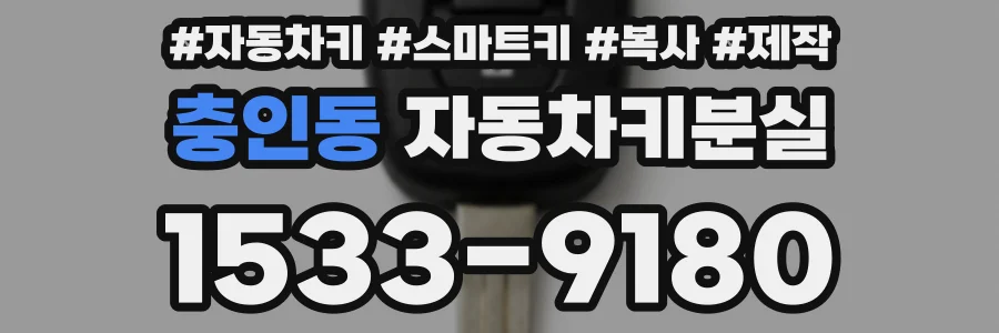 충인동 자동차키분실