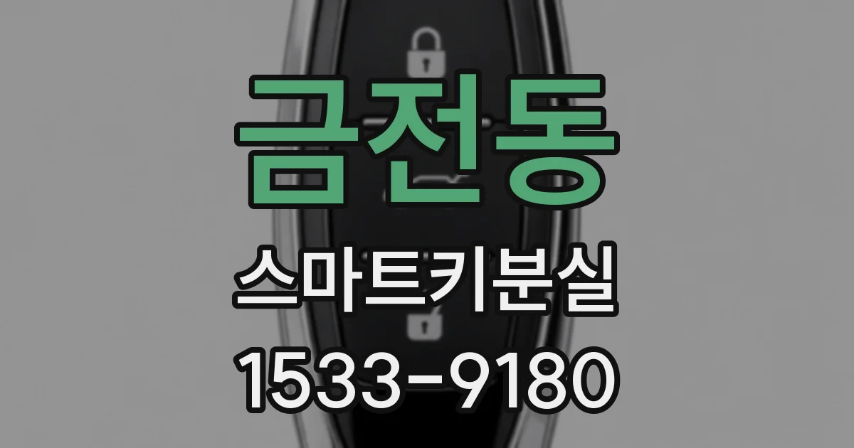 금전동 스마트키분실