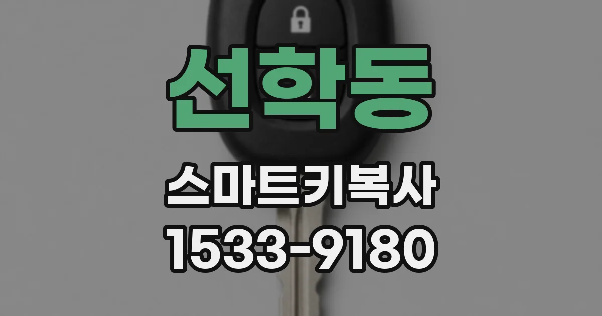 선학동 스마트키복사
