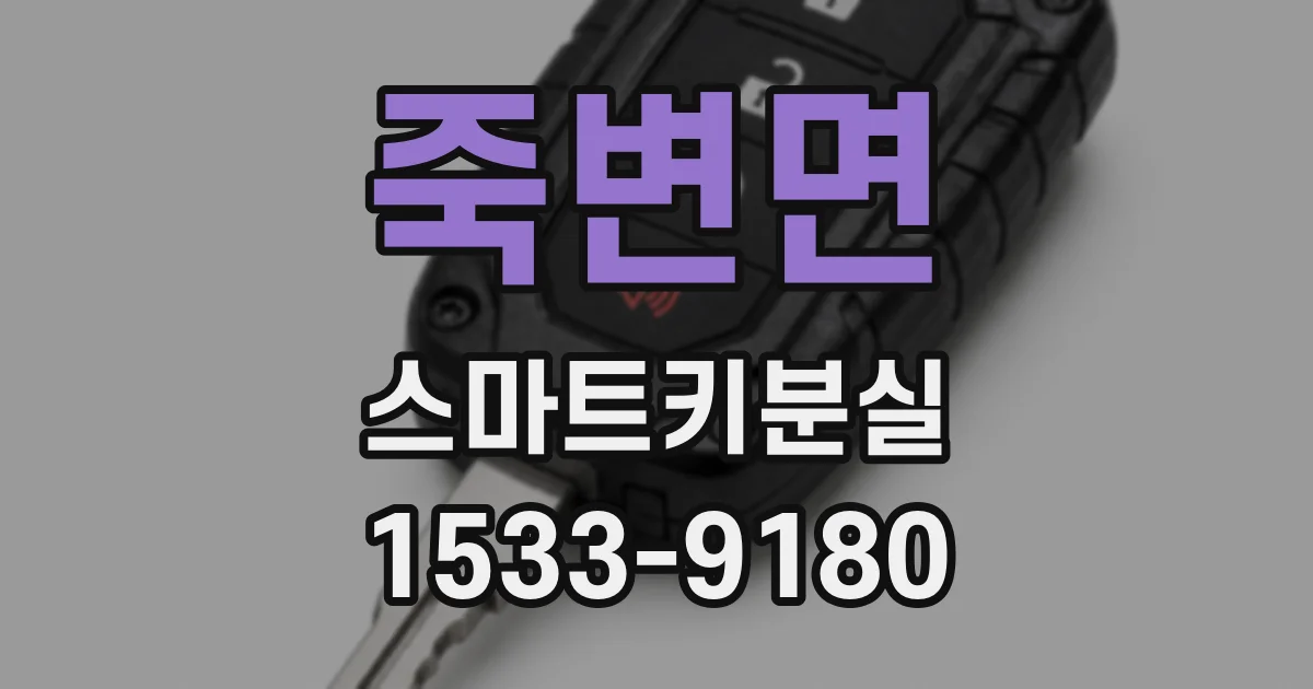 죽변면 스마트키분실