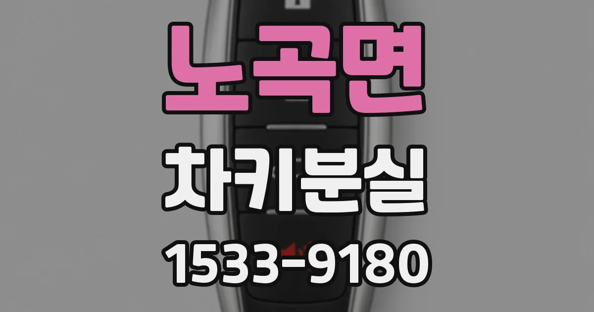 노곡면 차키분실