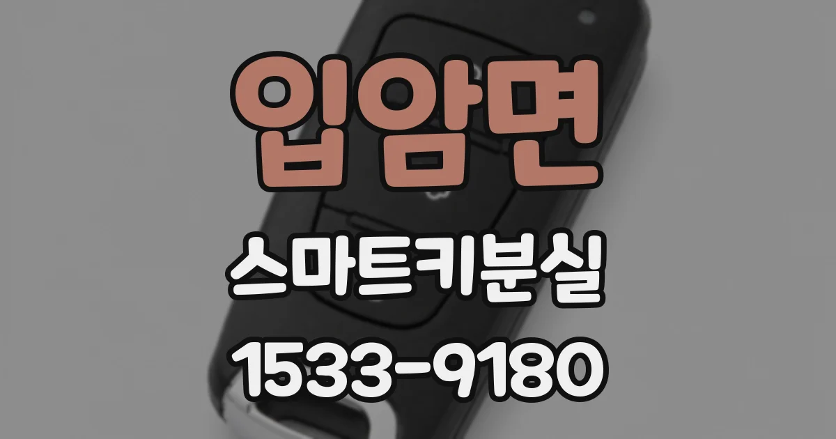 입암면 스마트키분실