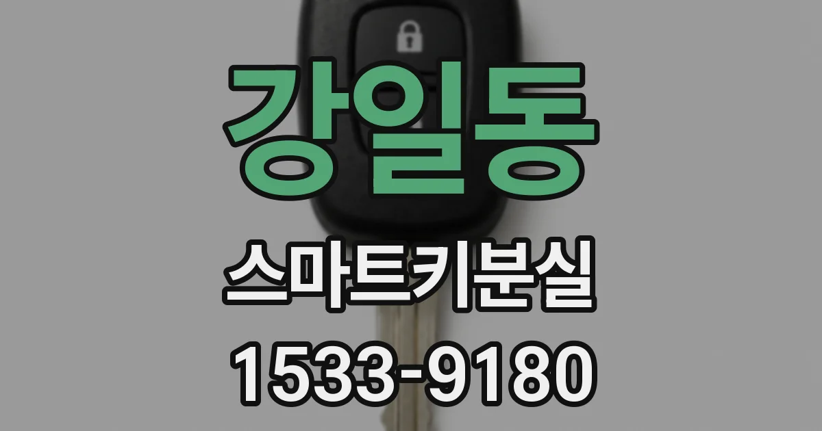 강일동 스마트키분실