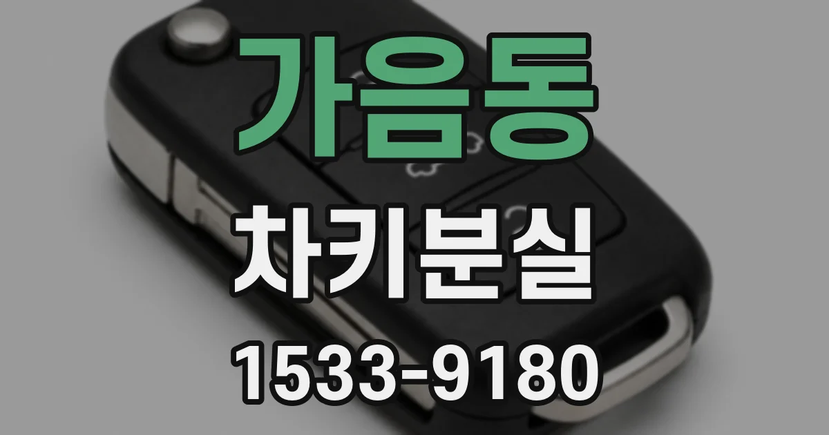 가음동 차키분실