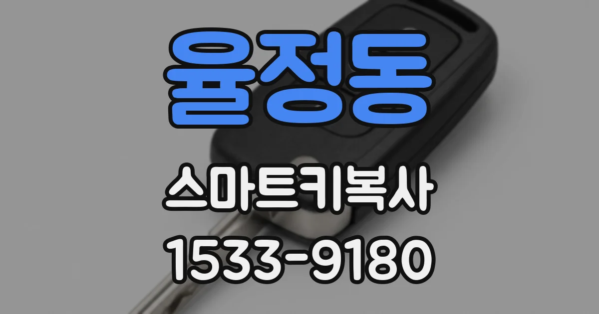 율정동 스마트키복사