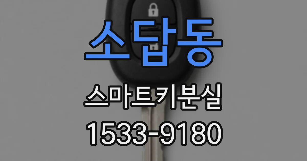 소답동 스마트키분실