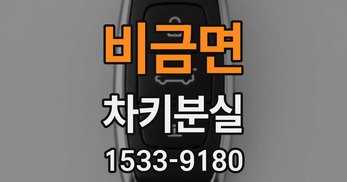 비금면 차키분실