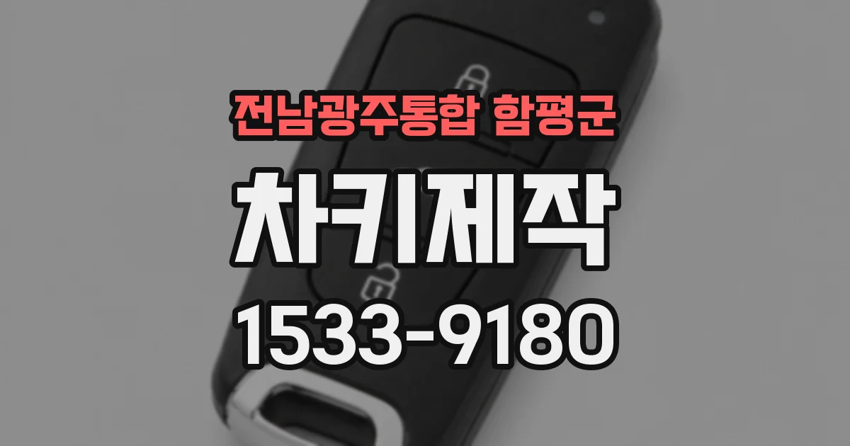 전남광주통합 함평군 차키제작