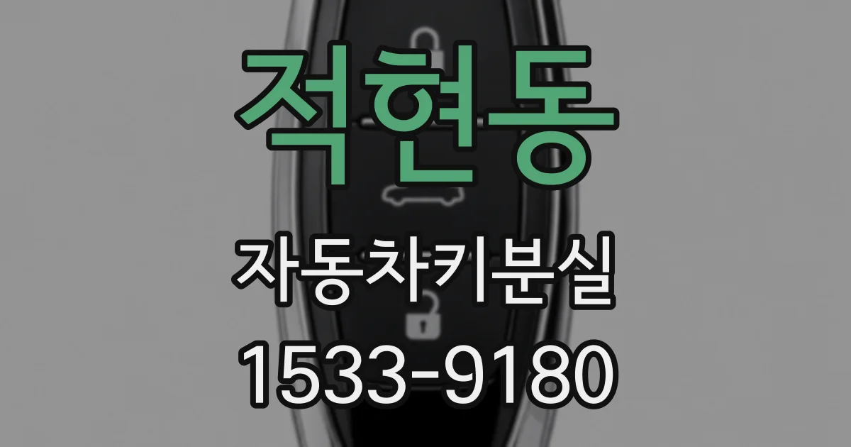 적현동 자동차키분실
