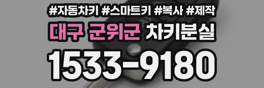 대구 군위군 차키분실