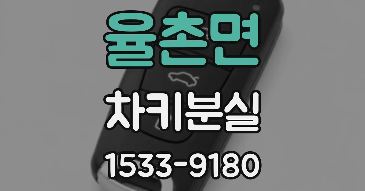 율촌면 차키분실