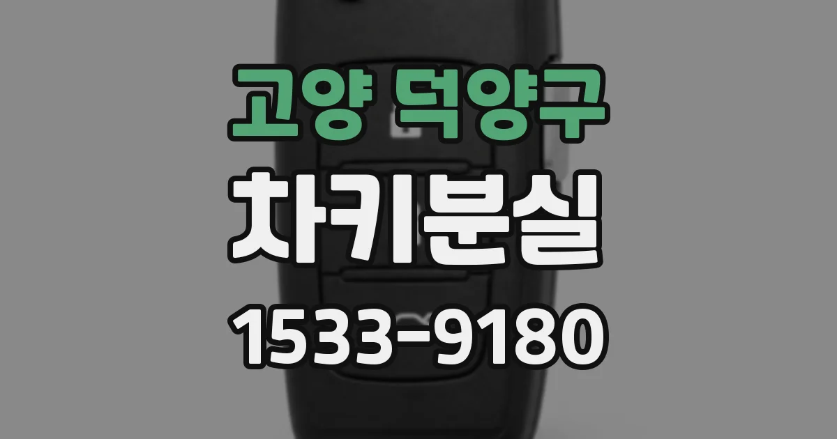 고양 덕양구 차키분실