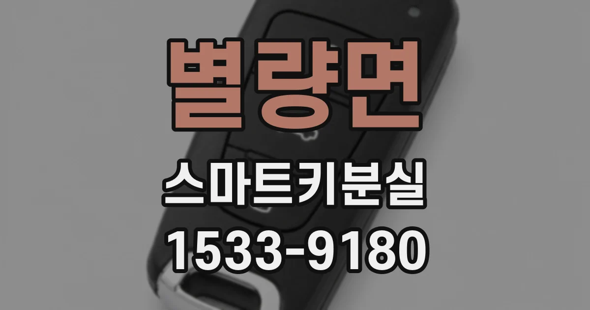 별량면 스마트키분실