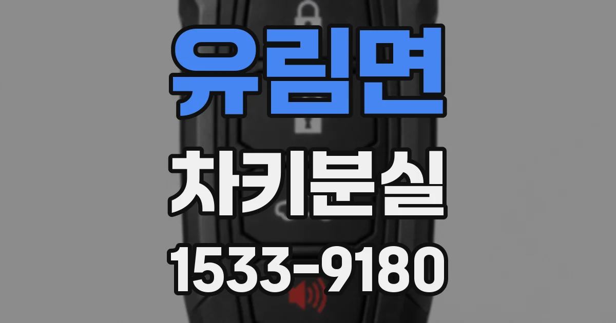 유림면 차키분실