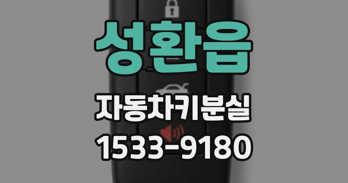 성환읍 자동차키분실