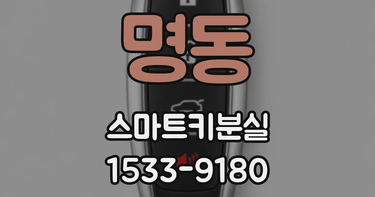 명동 스마트키분실