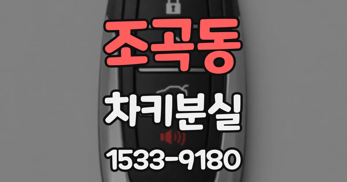 조곡동 차키분실