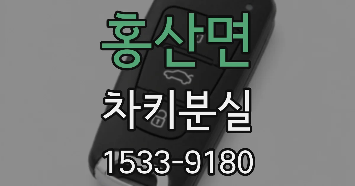 홍산면 차키분실